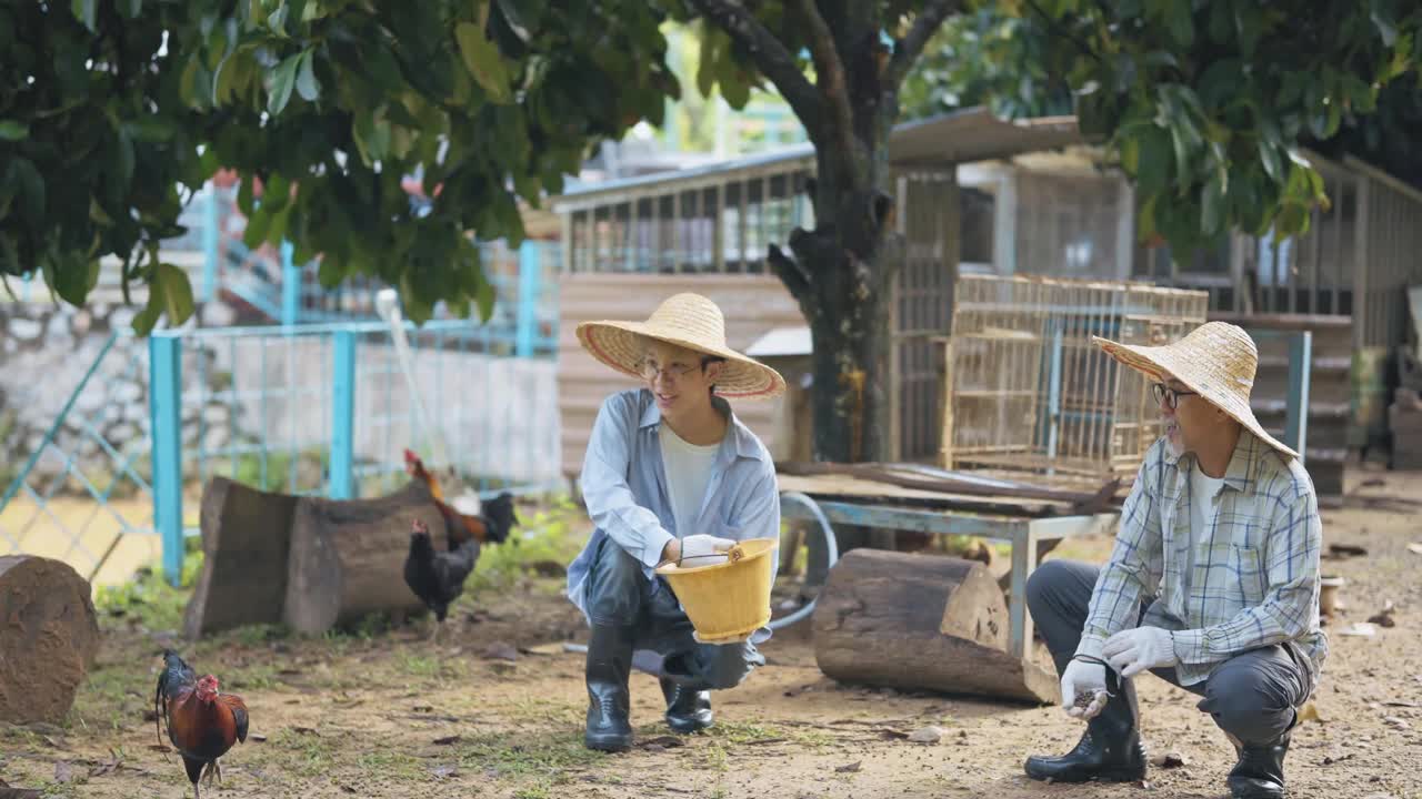 一位亚洲华人老人早上带着儿子提着桶在鸡舍喂鸡