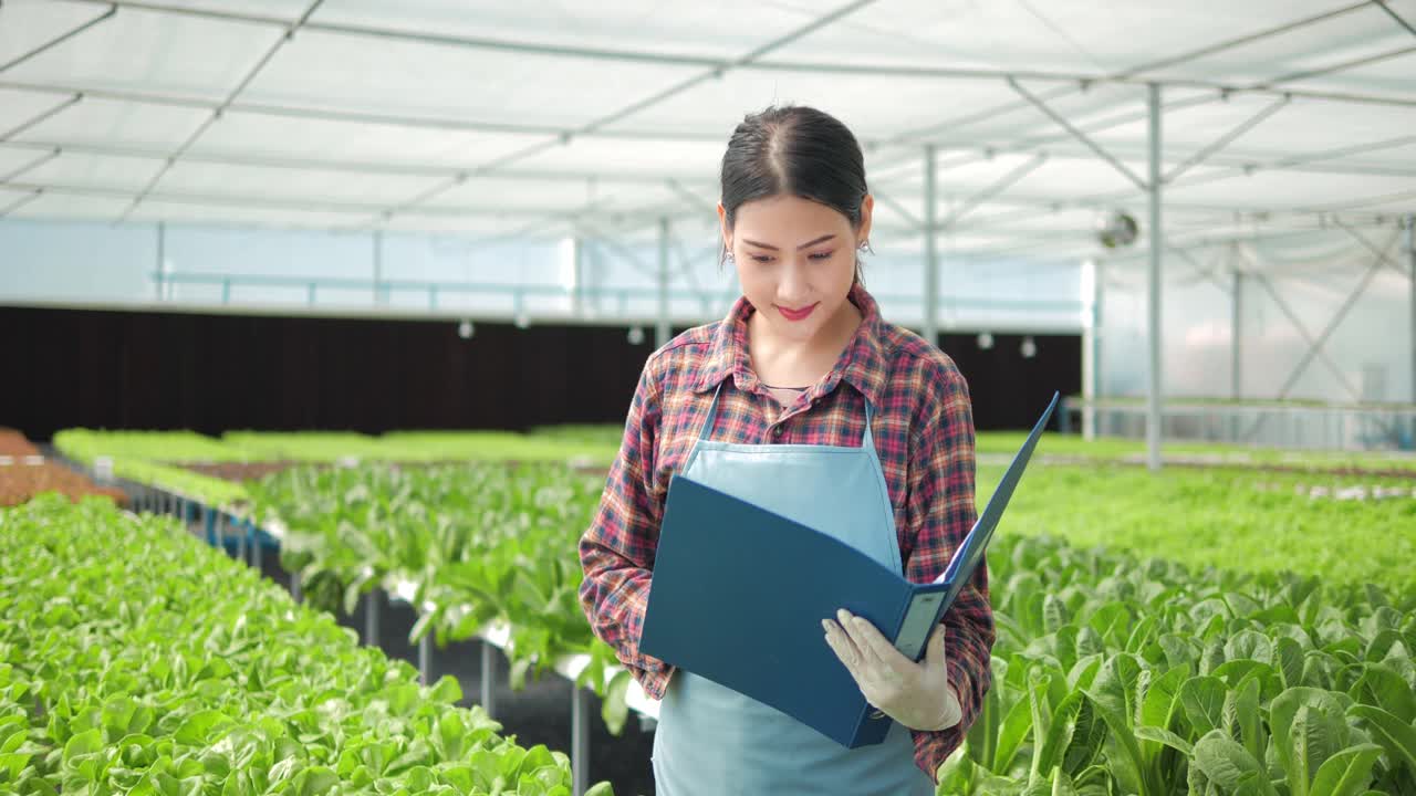 亚洲女农民在大棚农场检查有机水培菜园的数量和质量。有机蔬菜种植在水，农业业务。