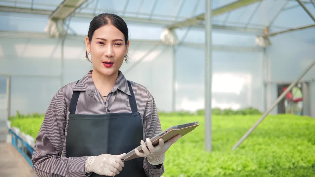 亚洲女农民用平板电脑和看着摄像机在温室出口到市场，蔬菜农场在水培，农业业务的概念。