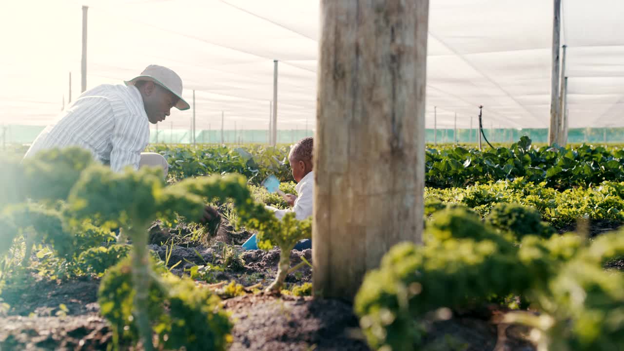 一对年轻的父子在农场工作的4k视频片段