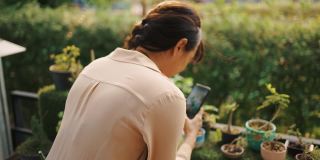 亚洲女性用智能手机拍摄盆栽上的小树