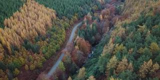 空中跟踪巷道和河流在克拉夫利伍德，威克洛郡与秋天的颜色