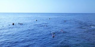 缓慢的运动。游客们在埃及红海的水面上游泳