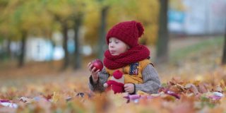 快乐的孩子，在秋天的一个阳光明媚的日子里，在公园里玩耍，树叶和树叶围绕着他，吃着苹果