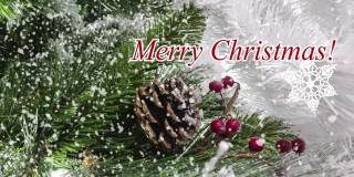 浪漫的视频问候快乐的圣诞与雪树，白色的雪和红色的浆果和消失的题词