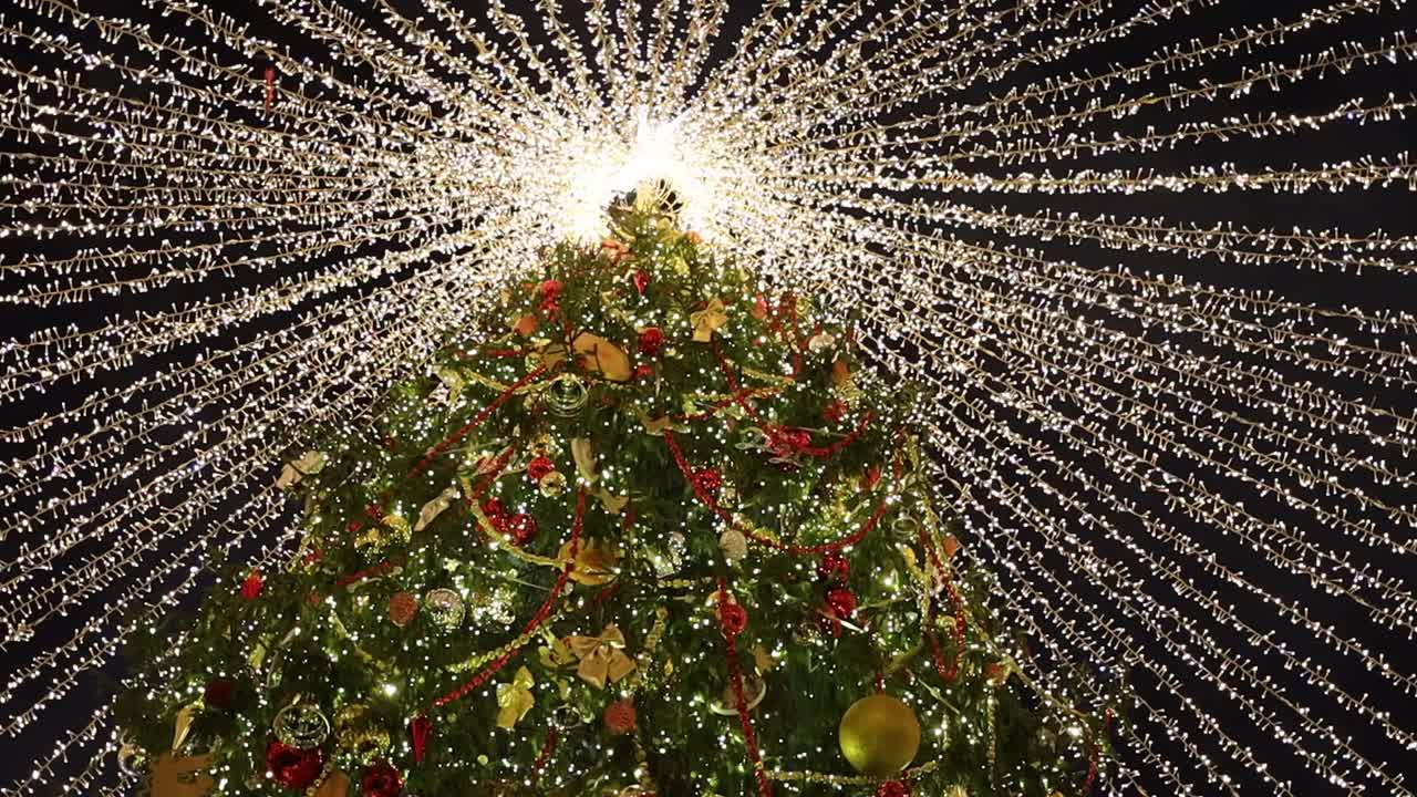 圣诞树在夜空的背景上闪烁着花环的灯光。自底向上的视图。城市装饰新年。在大都市过圣诞节。