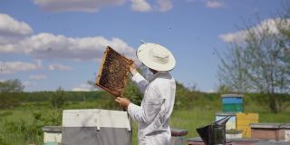 蜜蜂大师手里拿着蜂箱。在一个阳光明媚的日子里，养蜂人穿着防护服在养蜂场工作。养蜂的业务。