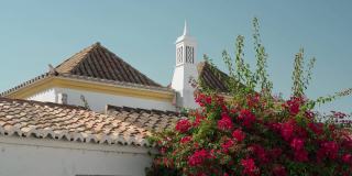传统的葡萄牙建筑、设计、老房子、屋顶和烟囱。墙上春暖花开的紫色花朵。葡萄牙南部。