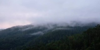 在多雾的日子里，绿色的雨林山脉和山丘的景观