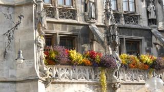 德国慕尼黑——2019年10月25日:慕尼黑的新市政厅装饰着各种盛开的鲜花。马里恩广场，城市的中心广场视频素材模板下载