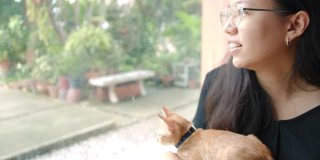 亚洲女人让小猫走出笼子在新家。领养流浪猫的概念有了一个新的主人，爱和可以照顾他们。4 k慢动作。