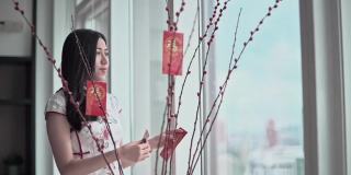 中国新年美丽的女人用柳树装饰客厅和装饰红包昂炮准备家庭团聚