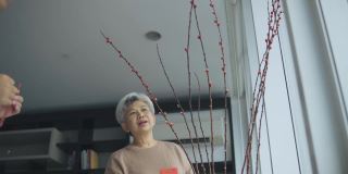 低角度看中国新年老夫妇装饰房子客厅用柳树和红包昂包装饰准备家庭团聚