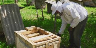 男养蜂人从蜜蜂空盒。