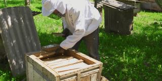 穿着防护服的养蜂人正在处理蜂箱。