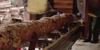 在锯木厂加工木材的过程。在动力机器上锯木头。从原木上锯木板的工业锯法
