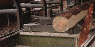锯木厂。在锯木厂加工和锯木。从原木上锯木板的工业锯法
