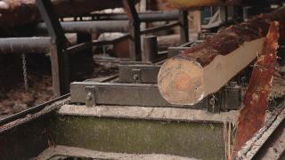 锯木厂。在锯木厂加工和锯木。从原木上锯木板的工业锯法视频素材模板下载