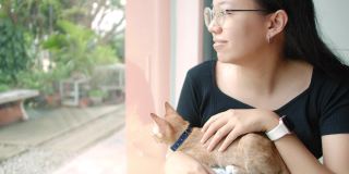 亚洲女人让小猫走出笼子在新家。领养流浪猫的概念有了一个新的主人，爱和可以照顾他们。4 k慢动作。