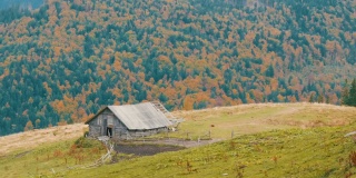 秋天风景如画的喀尔巴阡山脉为背景的牧羊人所建的旧木制废弃木屋。破败的废弃建筑