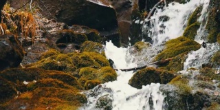 美丽的自然瀑布从喀尔巴阡山脉倾泻而下，长满了绿色的苔石。