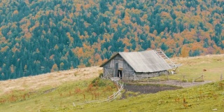 秋天，在风景如画的喀尔巴阡山脉的背景下，为牛群建造的旧木制废弃木屋