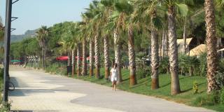 在暑假里，穿着白色衣服的女人在散步道上的棕榈树间漫步
