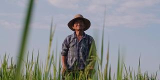 日落时分，一位年长的农民站在稻田里，举着2022年新年的标志。