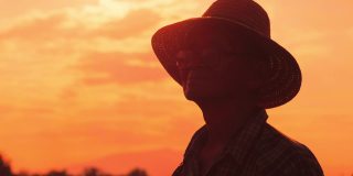 夕阳下，老农民站在稻田里的剪影。一位戴着帽子的老人在金色的天空背景上望着远方。