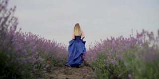 一个女孩在薰衣草田的后景在夏天日落去。一个穿着裙子的女孩的双腿在盛开的薰衣草花丛中。晚上进行香薰和放松。