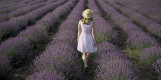 从法国普罗旺斯薰衣草田的背面看，一名身穿浅夏装、头戴黄色草帽的妇女正走在开花的草地上，享受着这段旅程。