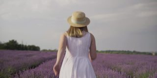 女孩在夏日夕阳下的薰衣草地里奔跑。普罗旺斯的花丛薰衣草和一个年轻女人。一位穿着裙子，戴着帽子的女士。芳香疗法和放松的概念