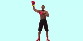 停止运动设计。二维动画艺术。非裔美国人作为快乐的获胜者在拳击后的颜色背景。有趣的拳击手。现代，概念，当代明亮的4k拼贴。数字复合视频