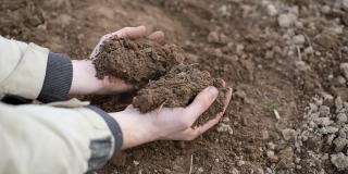 农民手中握着土壤的特写。播种小麦前，园丁正在检查土壤质量。世界土壤日概念