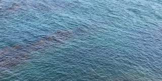 蓝色海军海水波浪背景。平静的蓝绿色地中海海面。美丽的海景。