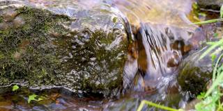 在夏日的绿色森林里，一条小溪在石头间流淌。小瀑布，清澈的水。长满苔藓的石头和木头。慢动作视频