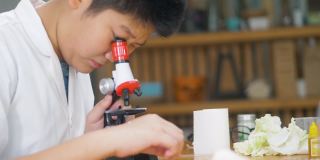 亚洲男孩穿着实验服，在学校实验室使用显微镜进行测试，教育的生活方式理念。