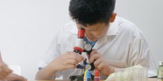亚洲儿童穿着实验服，用显微镜做科学实验，在家学校实验室，教育生活理念。