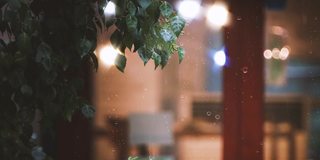 雨点打在窗户上，夏夜的阵雨