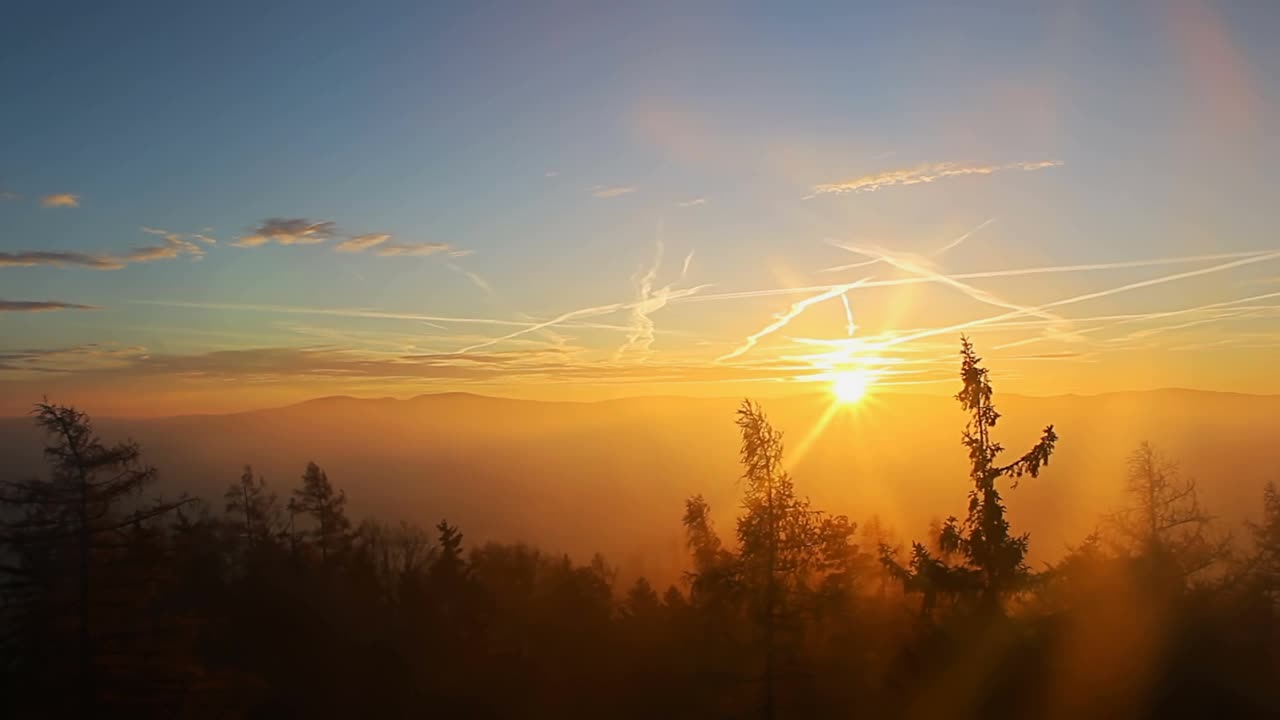 秋天的捷克风景，由风吹起的雾和树木在清晨日出时的剪影。从Hradiste村的瞭望塔望去