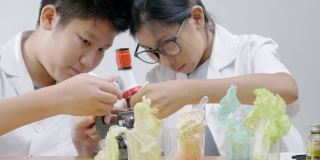 亚洲儿童穿着实验室大褂，使用显微镜进行科学实验，在家校实验室教育生活方式理念。