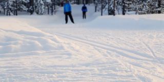 冬季森林滑雪之旅