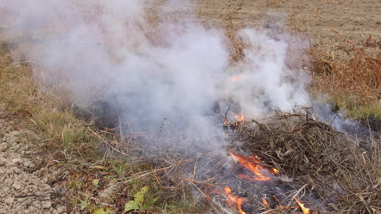 干草燃烧着火，烟在草地野外的明火破坏着草