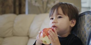两岁的小孩吃了一个又大又红的苹果