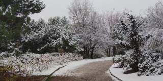 在一个初冬的暴风雪中，走在瓦拉多利德的坎特拉克公园的一条土路上