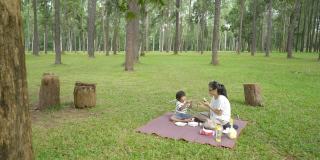 亚洲家庭在节日期间一起在松树公园野餐