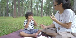 亚洲家庭在节日期间一起在松树公园野餐