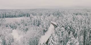 鸟瞰图积雪覆盖了空旷的道路和冬天的森林。现场。自然背景，沿路混交林生长
