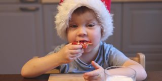 小白种人男孩三岁圣诞老人红帽子吃嚼自制饼干