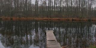 木栈桥上的池塘，倒影着树木